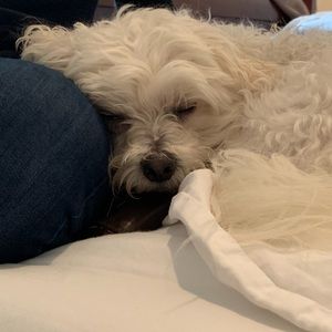 Meet your Posher, Ashlyn